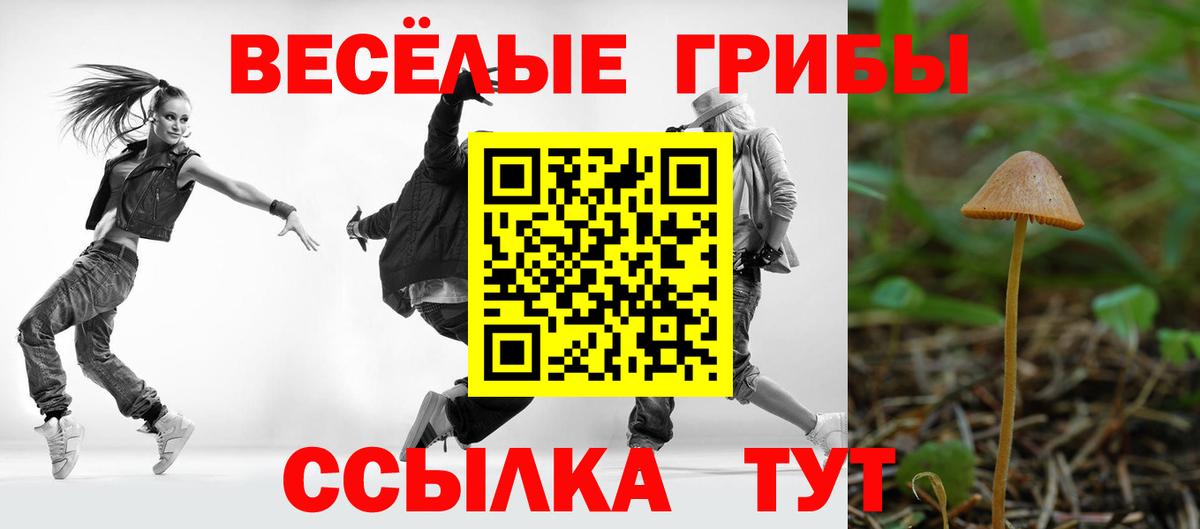 Галлюциногенные грибы MAGIC MUSHROOMS Тверь